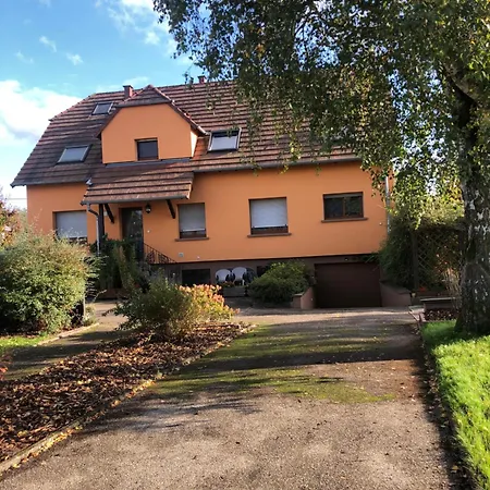 Grand Appartement Au Coeur De La Region Alsacienne Schweighouse-sur-Moder Exterior photo