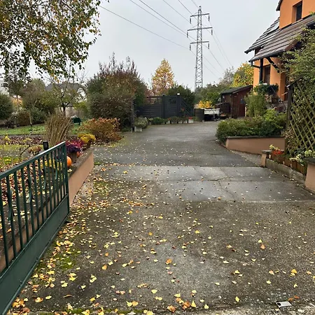 Grand Appartement Au Coeur De La Region Alsacienne Schweighouse-sur-Moder Exterior photo