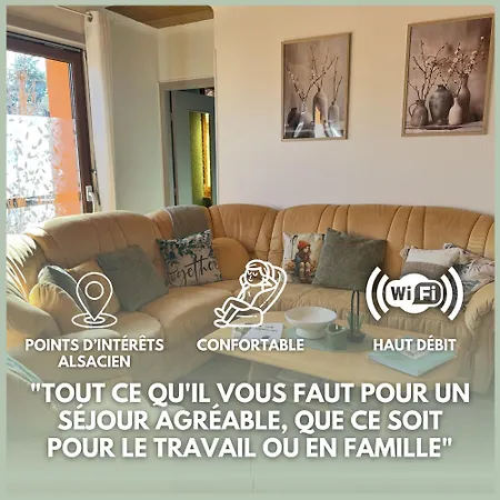 Grand Appartement Au Coeur De La Region Alsacienne Schweighouse-sur-Moder Exterior photo