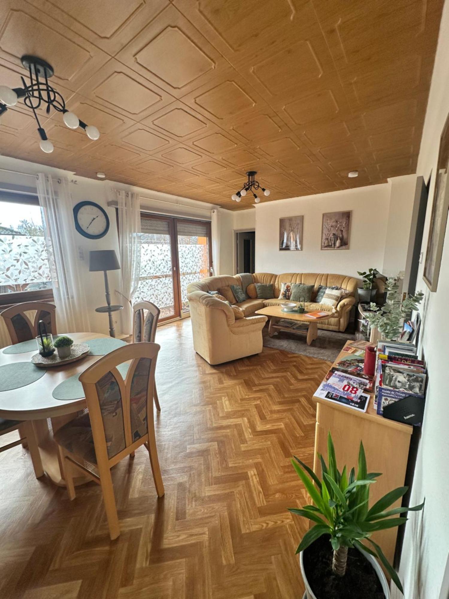Grand Au Coeur De La Region Alsacienne Appartement