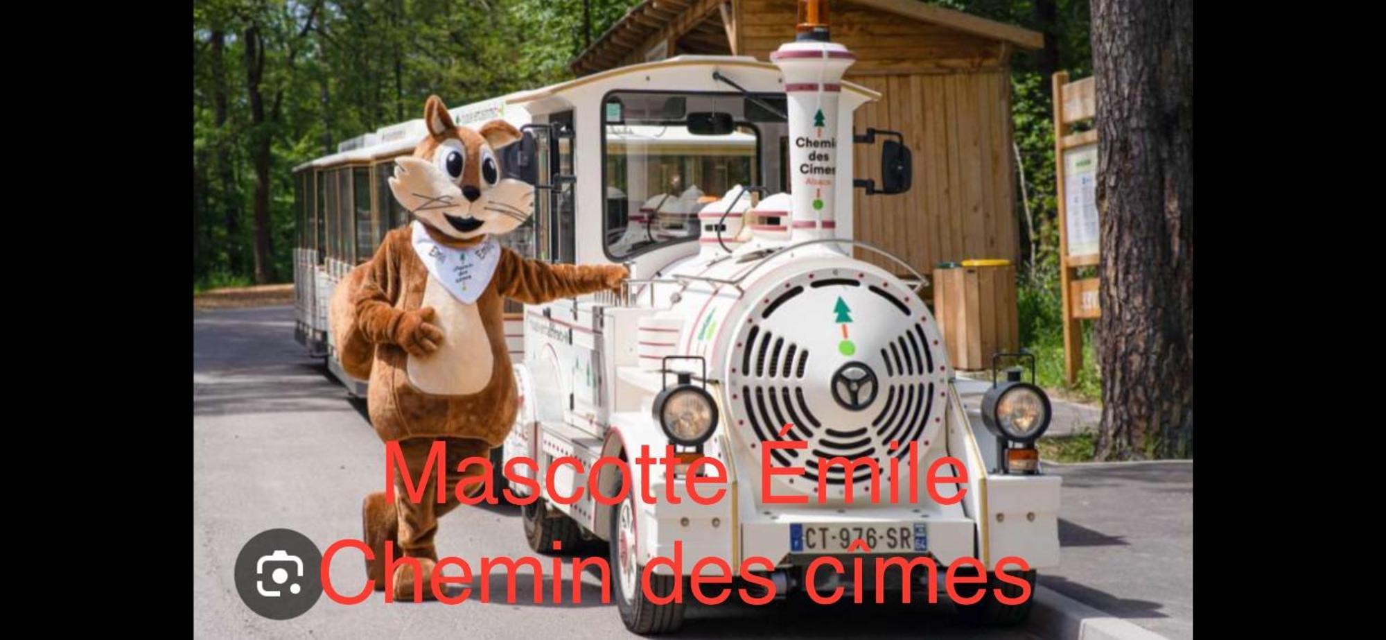Grand Au Coeur De La Region Alsacienne * Schweighouse-sur-Moder