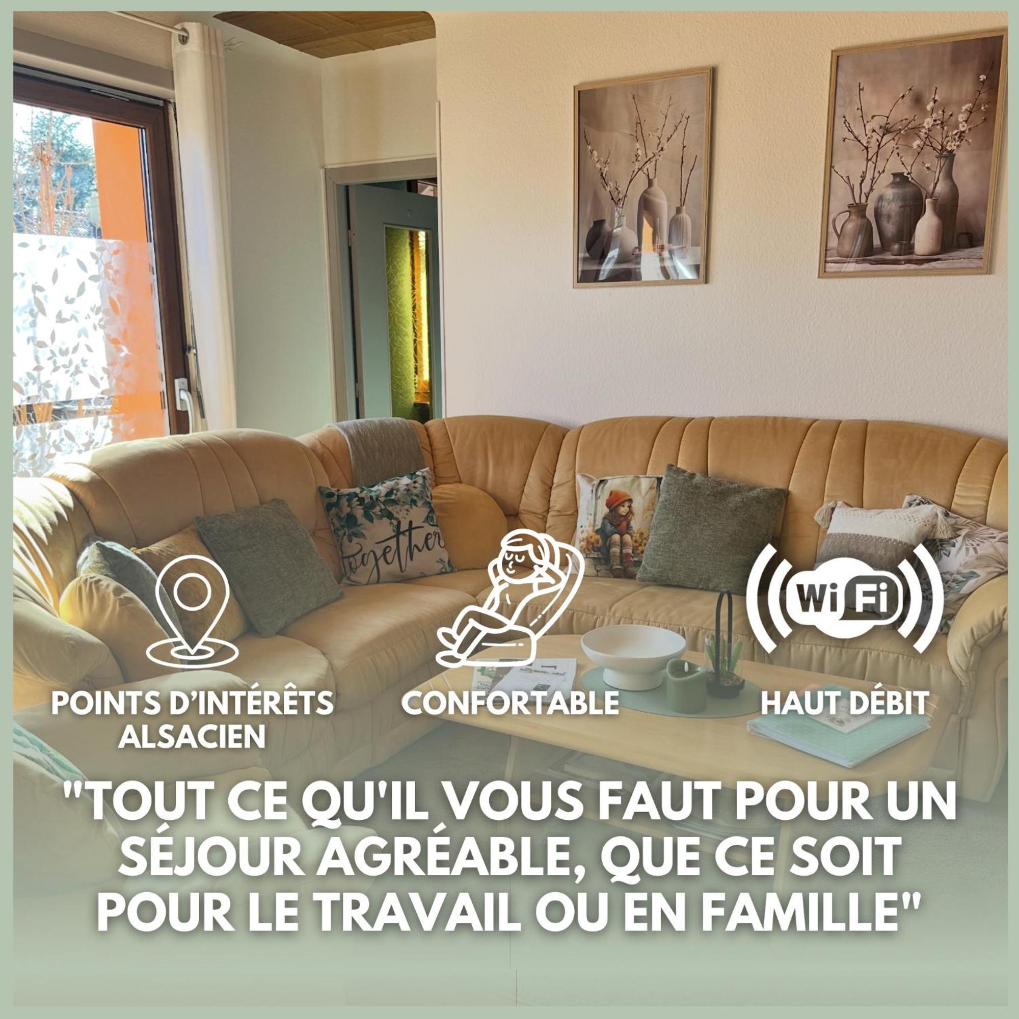 Grand Au Coeur De La Region Alsacienne Apartment